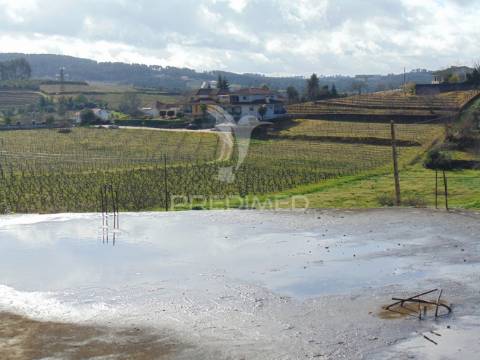Azenha para recuperar em abaças - vila real