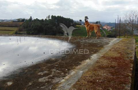 Azenha para recuperar em abaças - vila real
