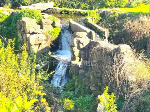 Terreno com 3 moradias para restauro