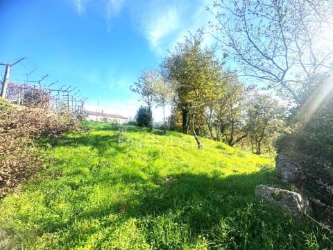 Terreno com 3 moradias para restauro