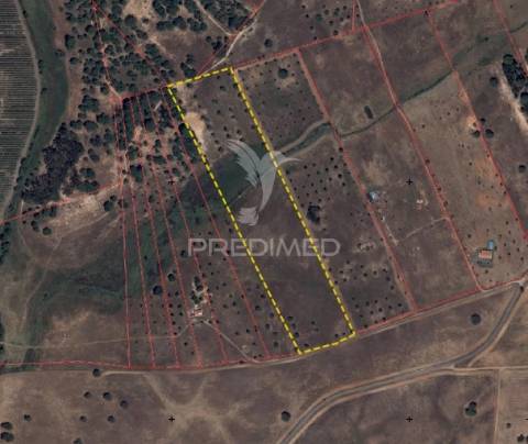 Terreno com mais de 5 hectares para venda em ferreira do alentejo