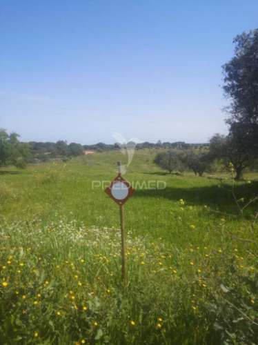 Terreno com mais de 5 hectares para venda em ferreira do alentejo