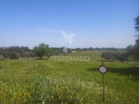 Terreno com mais de 5 hectares para venda em ferreira do alentejo