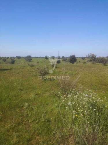 Terreno com mais de 5 hectares para venda em ferreira do alentejo