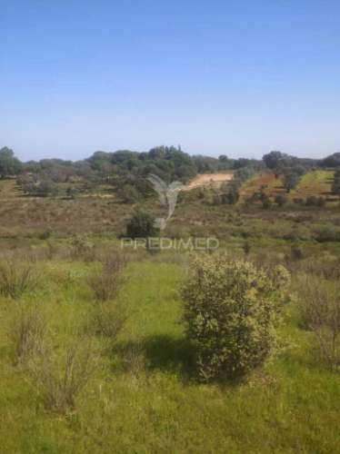 Terreno com mais de 5 hectares para venda em ferreira do alentejo