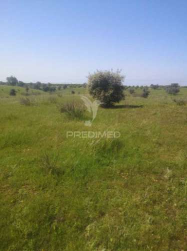 Terreno com mais de 5 hectares para venda em ferreira do alentejo
