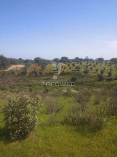 Terreno com mais de 5 hectares para venda em ferreira do alentejo