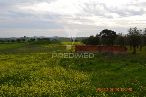Terreno rustico