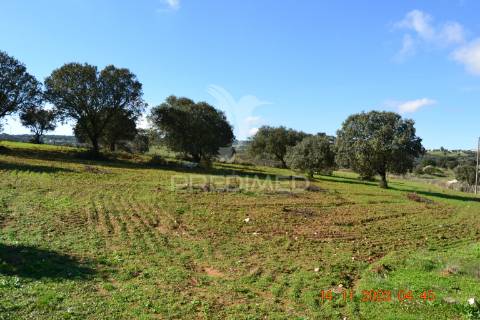 Quinta no alentejo
