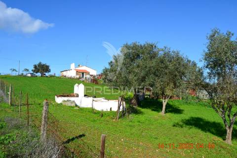 Quinta no alentejo
