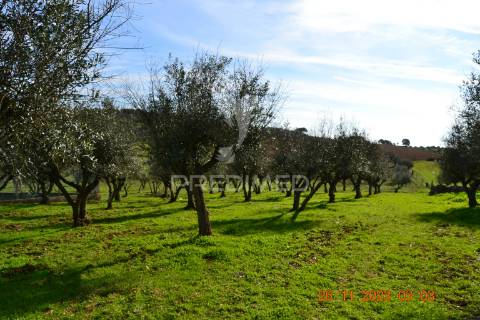 Quinta no alentejo