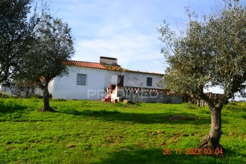 Quinta no alentejo