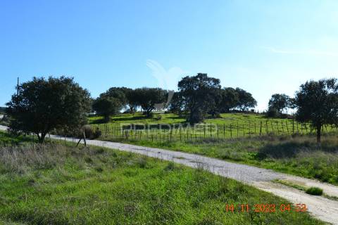 Quinta no alentejo