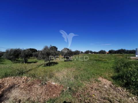 Lote de moradia