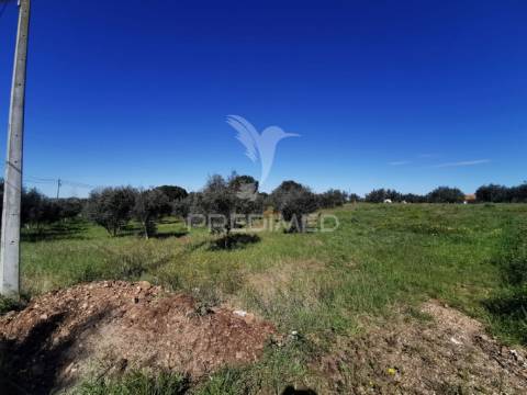 Lote de moradia