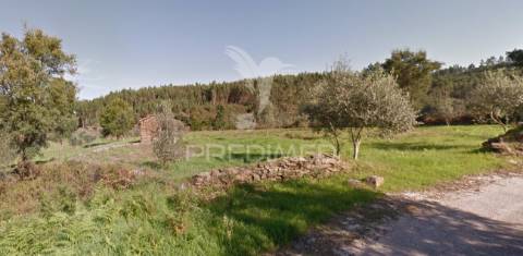 Rúina na fonte fria