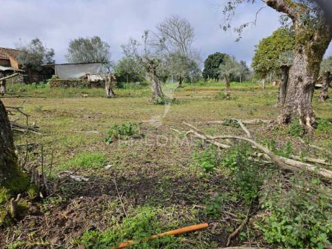Casinha campo para remodelação