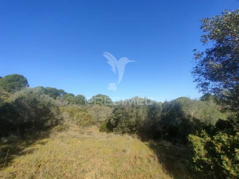 Terreno rústico - monsanto, alcanena