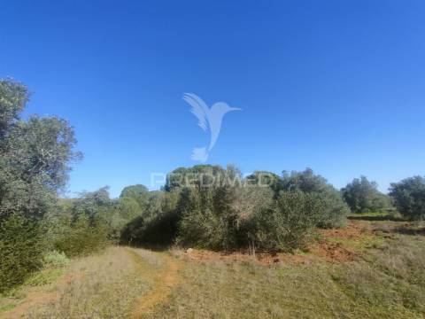 Terreno rústico - monsanto, alcanena