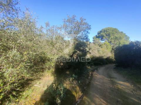 Terreno rústico - monsanto, alcanena