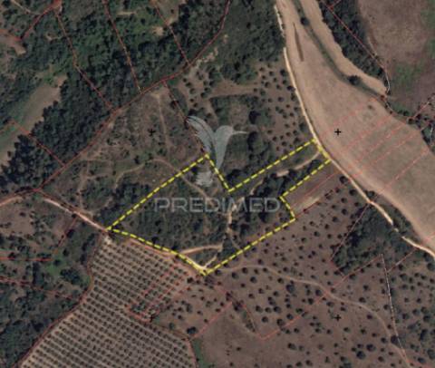 Terreno rústico - monsanto, alcanena