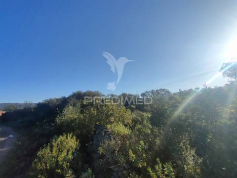 Terreno rústico - monsanto, alcanena