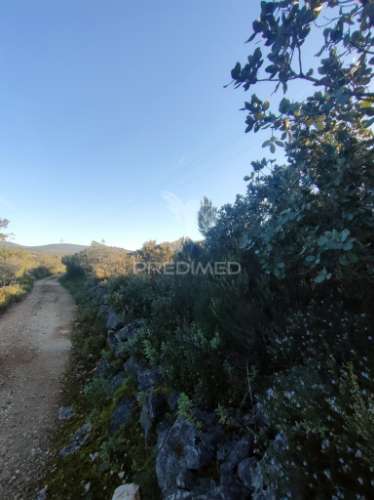 Terreno rústico - monsanto, alcanena