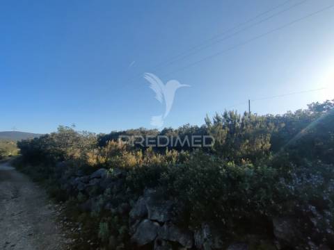 Terreno rústico - monsanto, alcanena