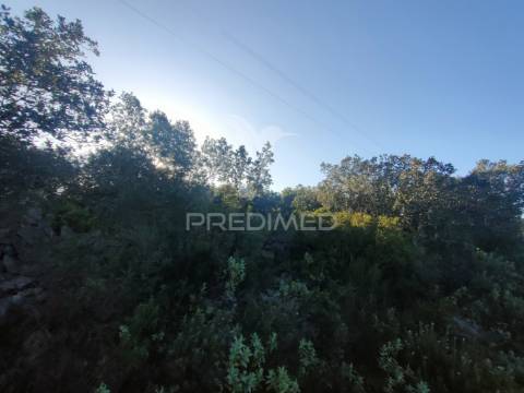 Terreno rústico - monsanto, alcanena