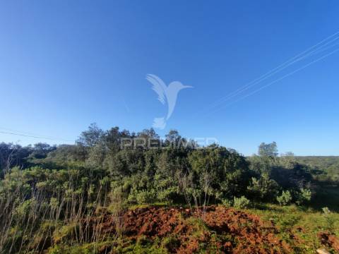 Terreno rústico - monsanto, alcanena