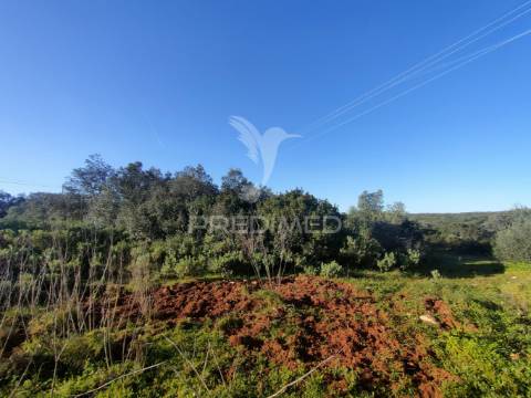 Terreno rústico - monsanto, alcanena