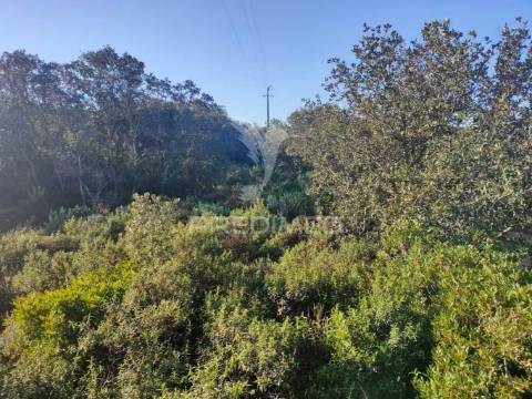 Terreno rústico - monsanto, alcanena