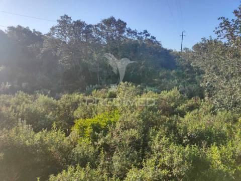 Terreno rústico - monsanto, alcanena