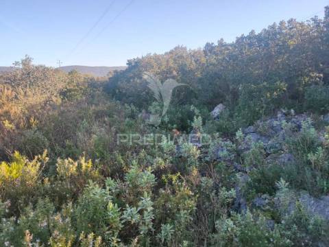 Terreno rústico - monsanto, alcanena