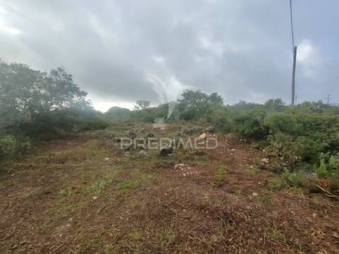 Terreno rústico - monsanto, alcanena