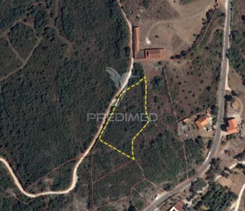 Terreno rústico - monsanto, alcanena