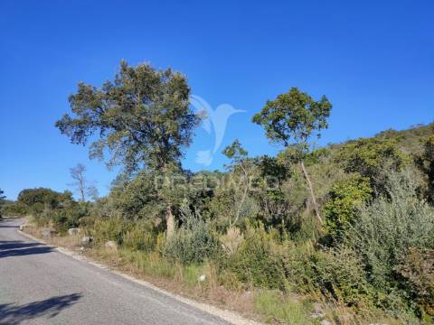 Terreno rústico - alcanena