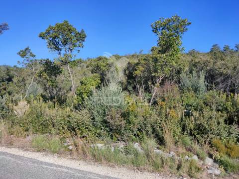 Terreno rústico - alcanena