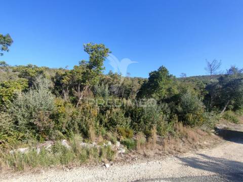 Terreno rústico - alcanena