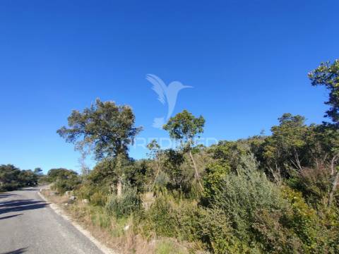 Terreno rústico - alcanena