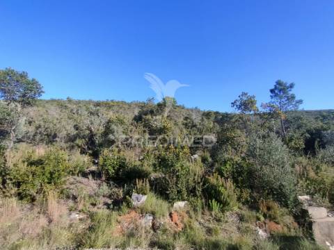 Terreno rústico - alcanena