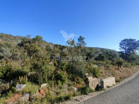 Terreno rústico - alcanena