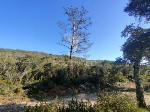 Terreno rústico - alcanena