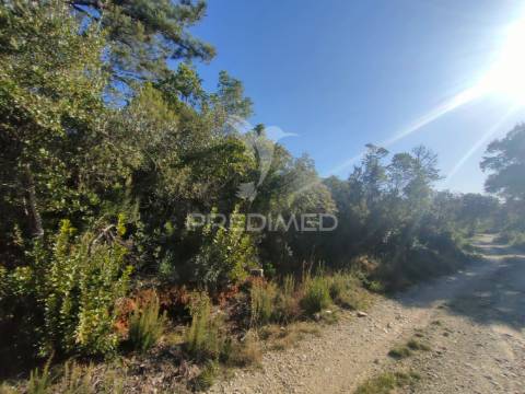 Terreno rústico - alcanena