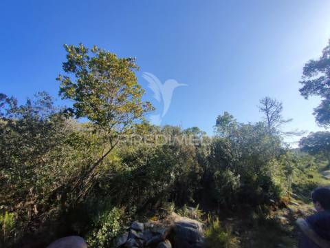 Terreno rústico - alcanena