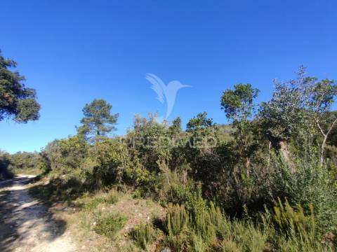 Terreno rústico - alcanena