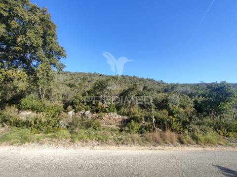 Terreno rústico - alcanena