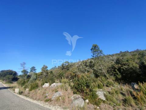 Terreno rústico - alcanena