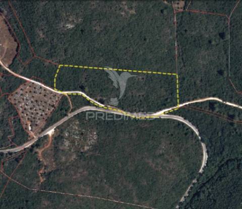 Terreno rústico - alcanena