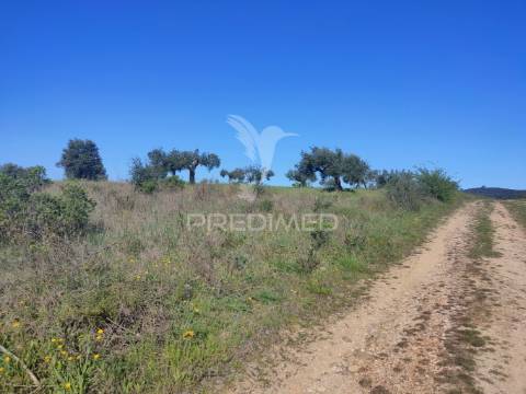 Terreno rústico - monsanto, alcanena